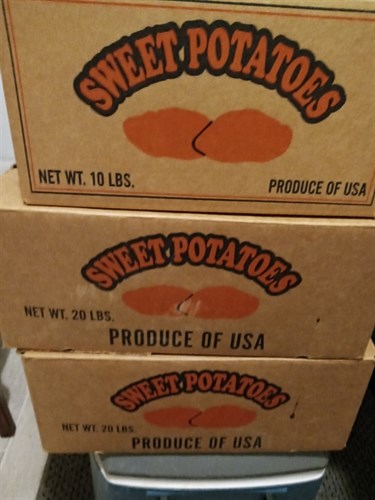 Sweet Potatoes, 10 Pound